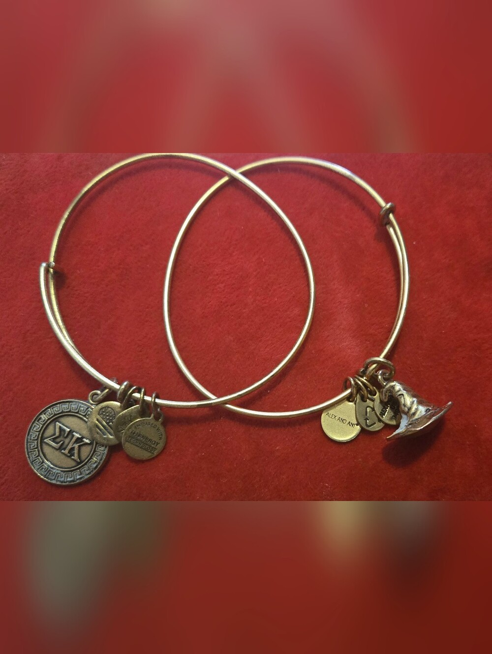 Alex and Ani Gold Tone Double Wire Charm Bangle Set